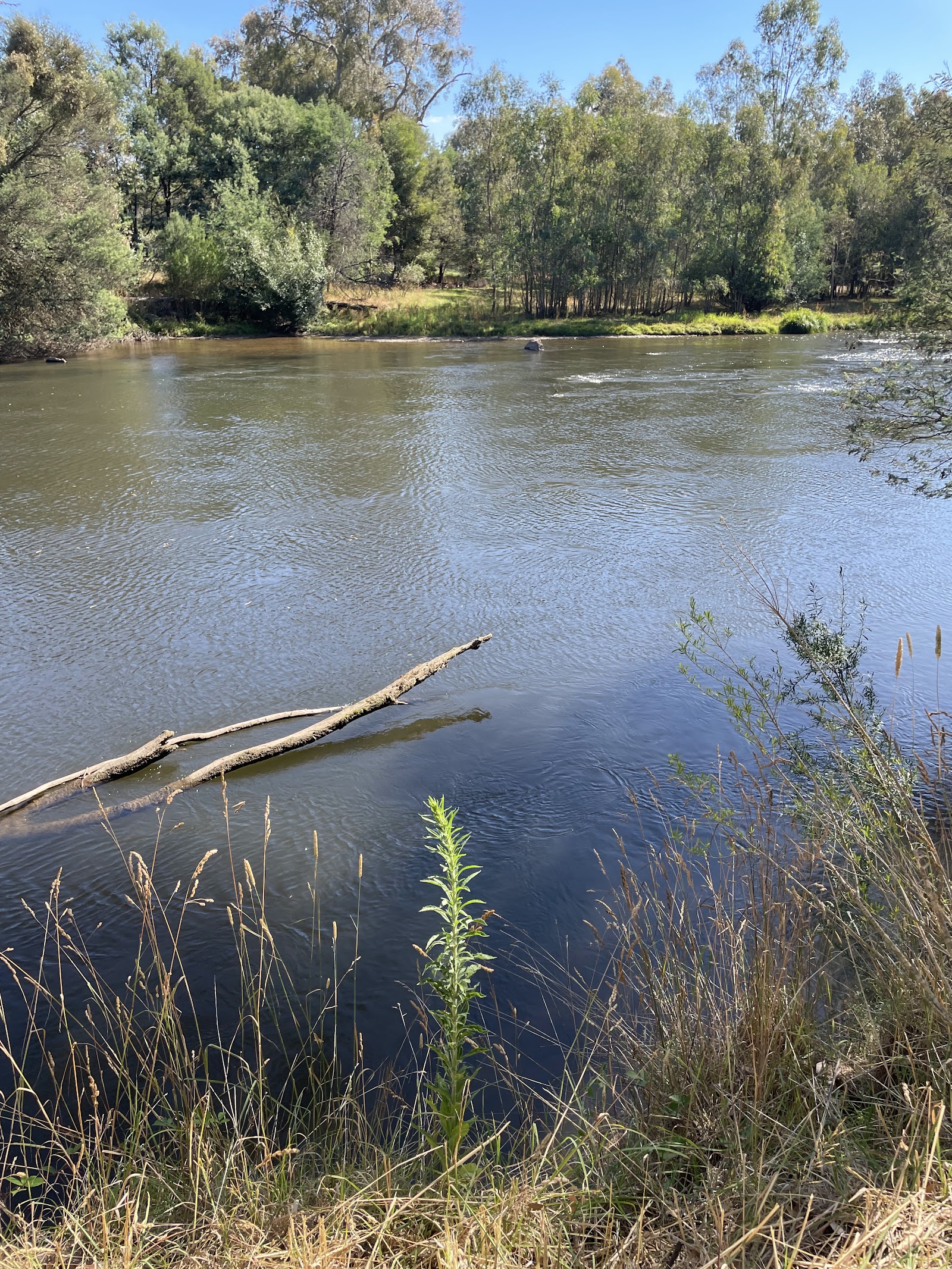 Brooks River Reserve Campground 8