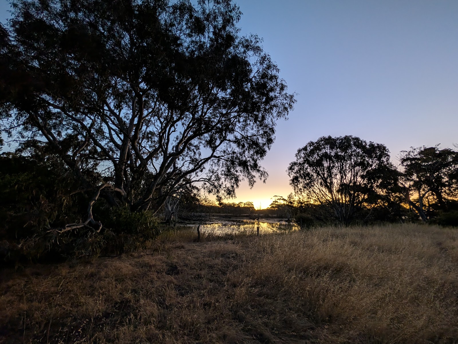 Duck Lagoon 3