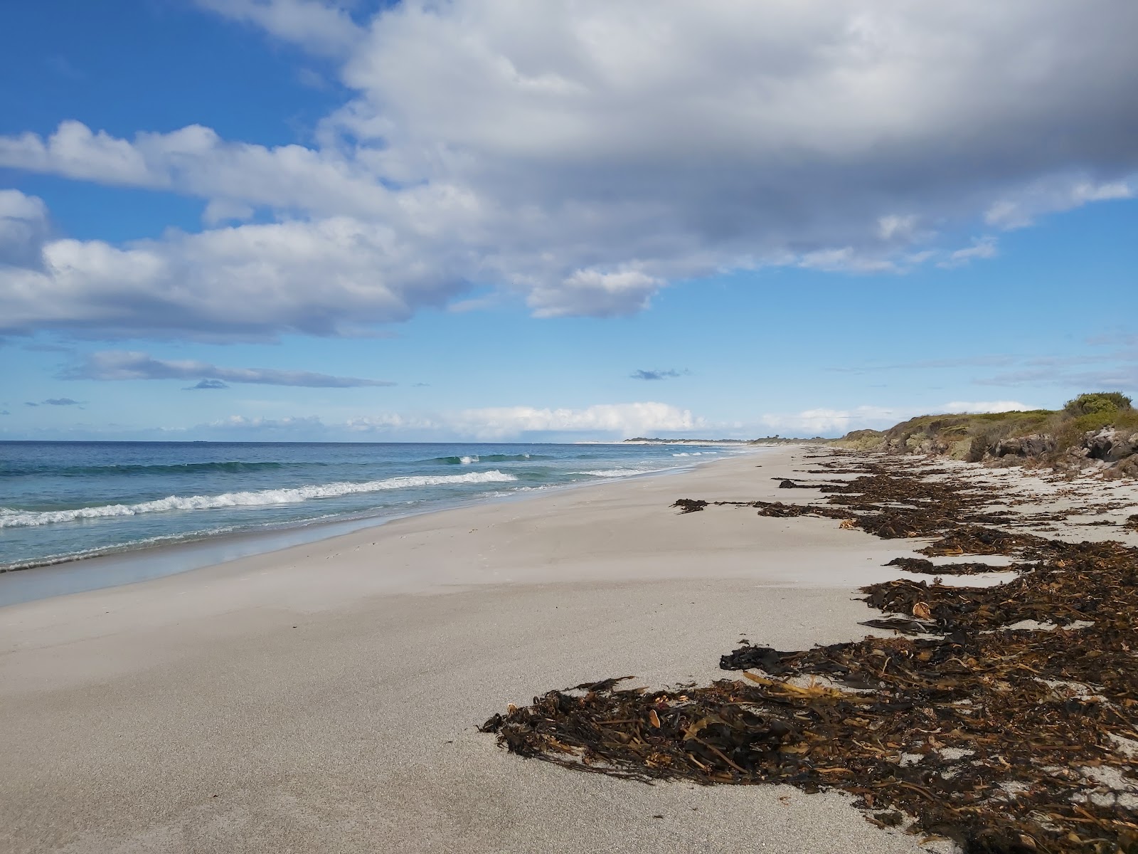 Musselroe Bay - Musselroe Bay Cons Area 2