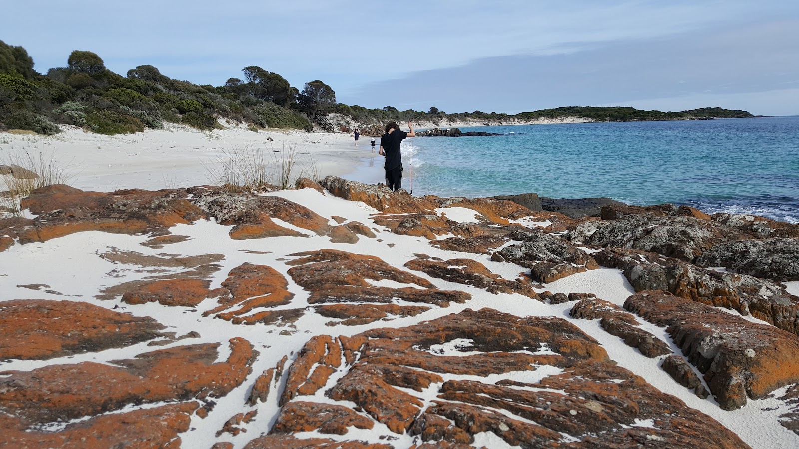 Musselroe Bay - Musselroe Bay Cons Area 4