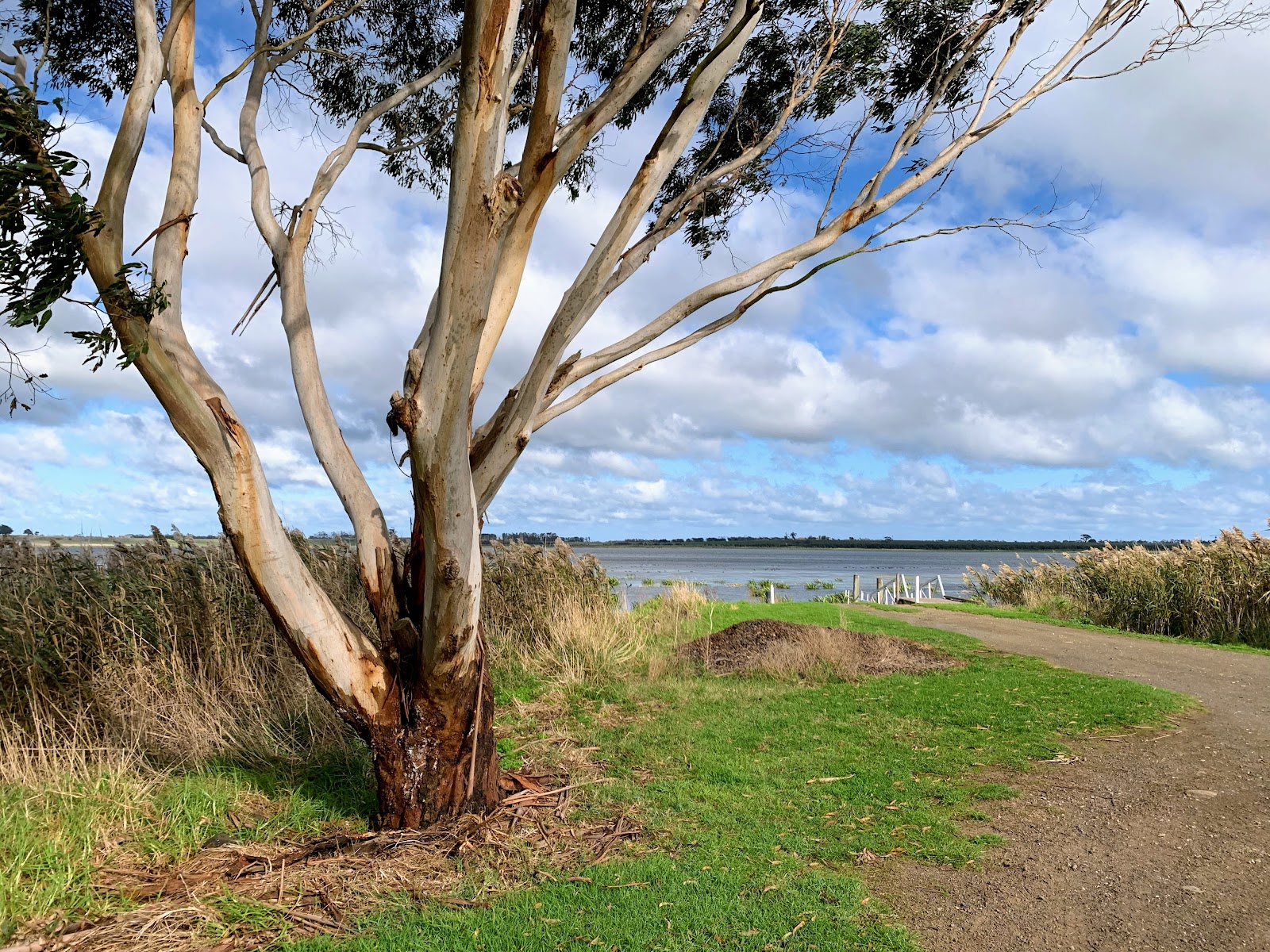 Lake Elingamite 10