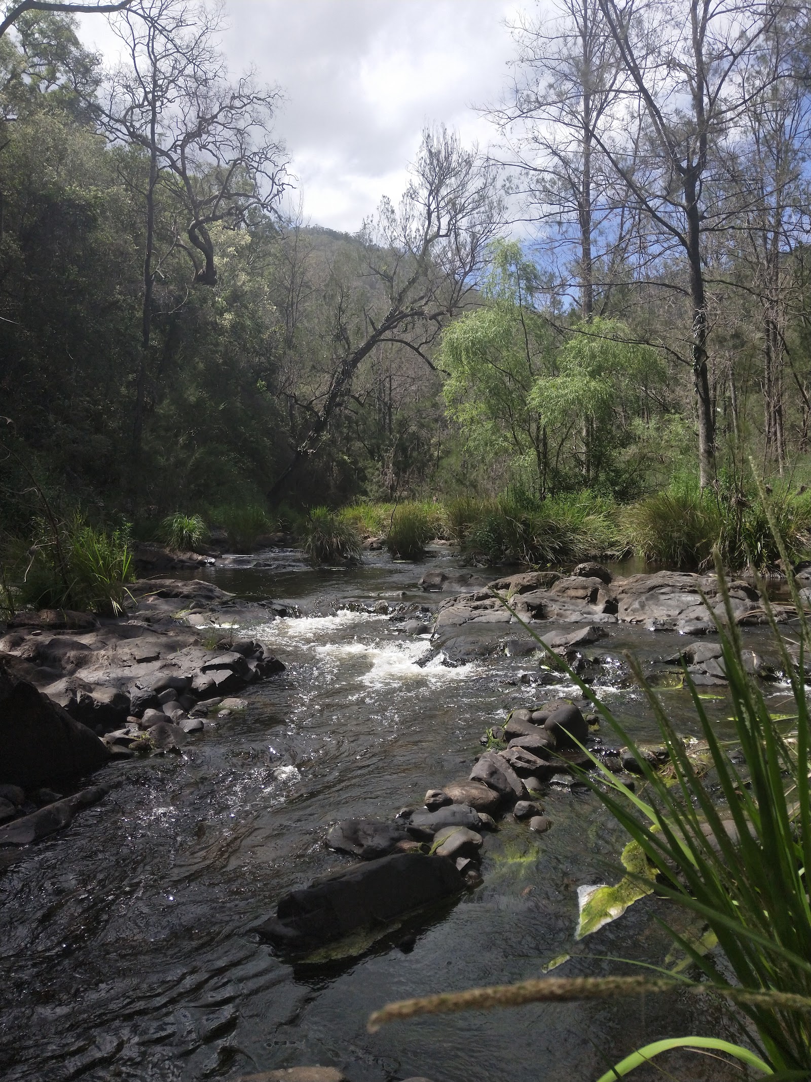 Gloryvale Reserve 2