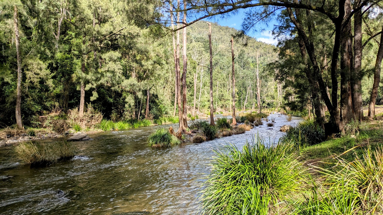 Gloryvale Reserve 3