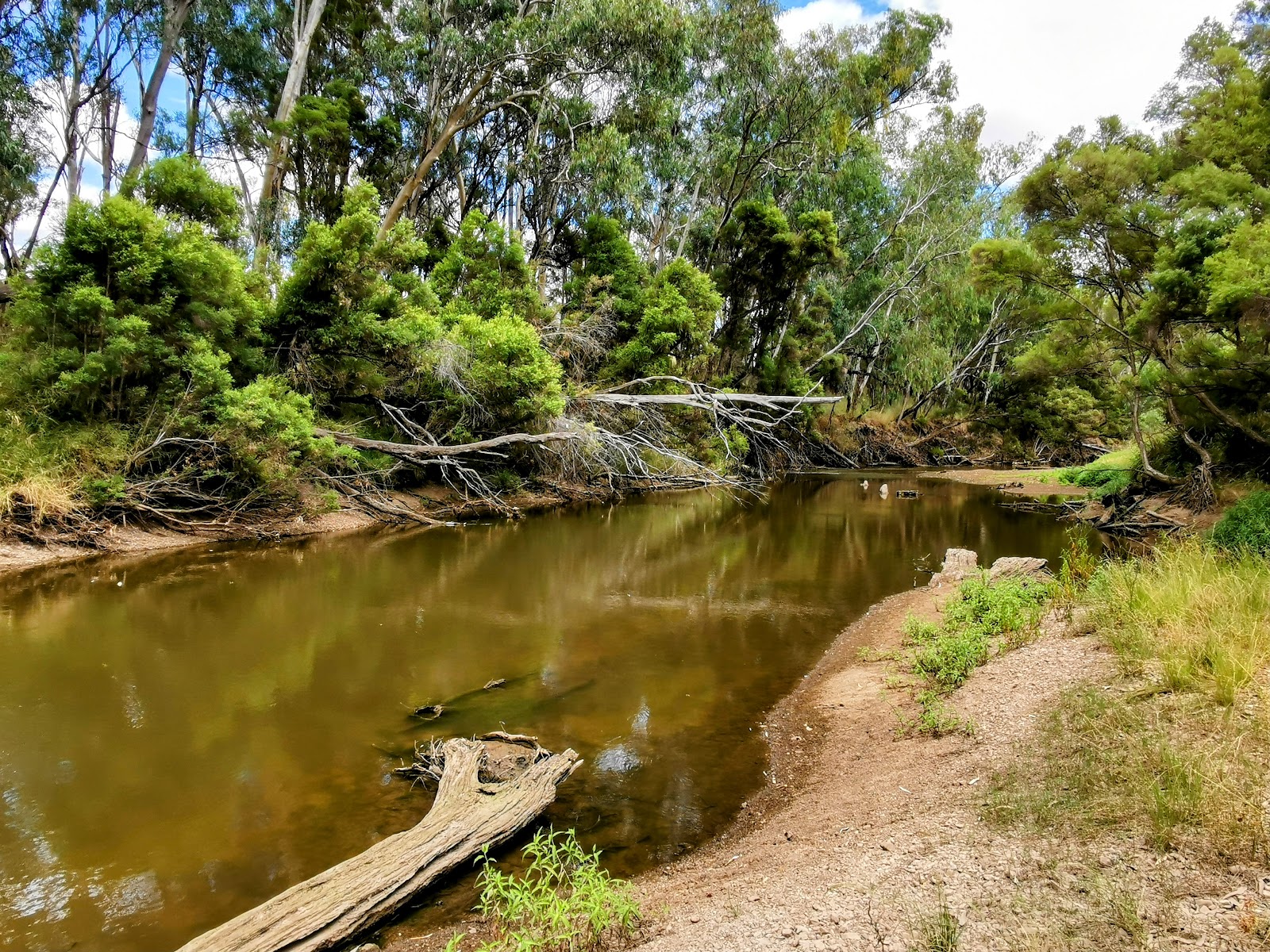 Yellowbank Reserve 3