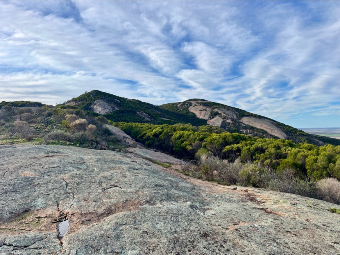 Carappee Hill Conservation Park 2