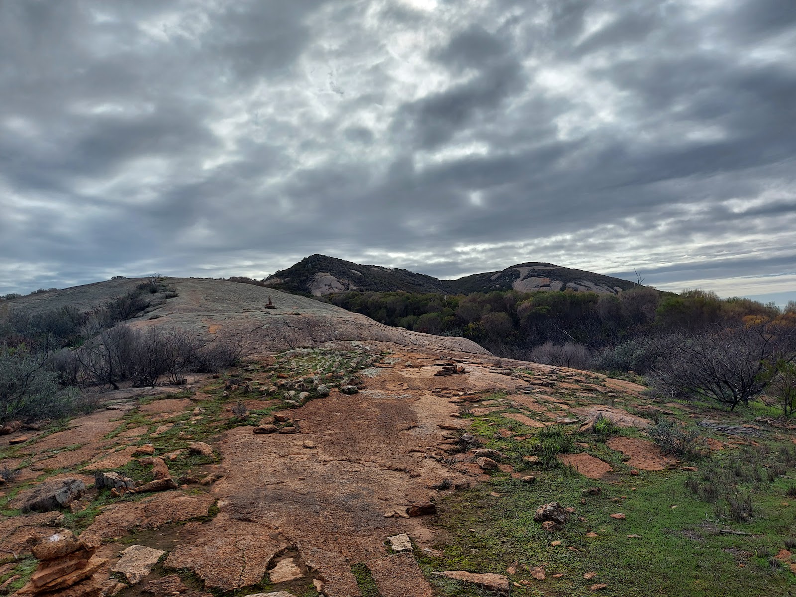 Carappee Hill Conservation Park 4