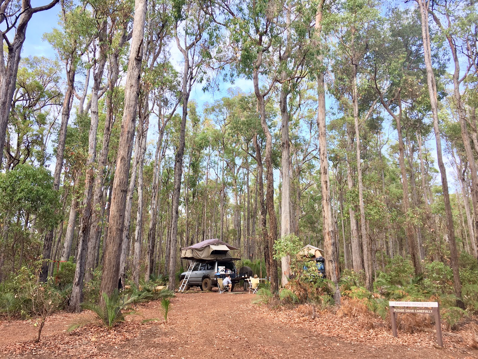 Chuditch campground 8