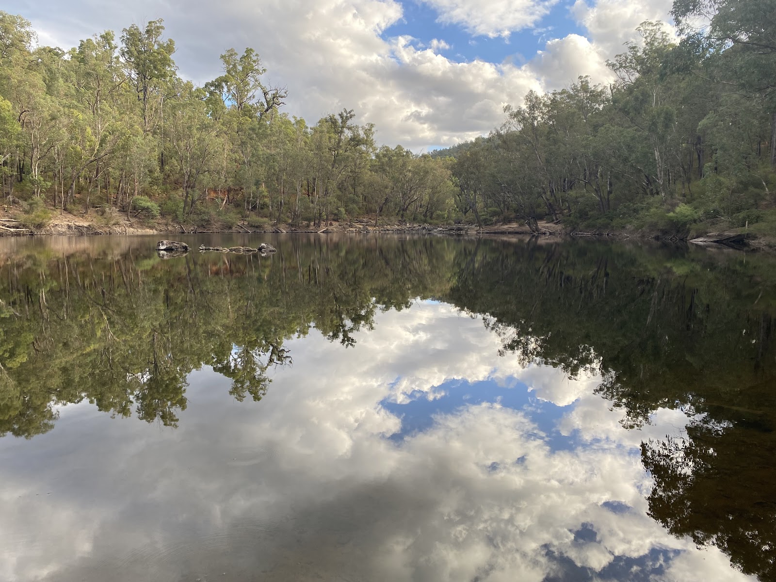 Chuditch campground 4
