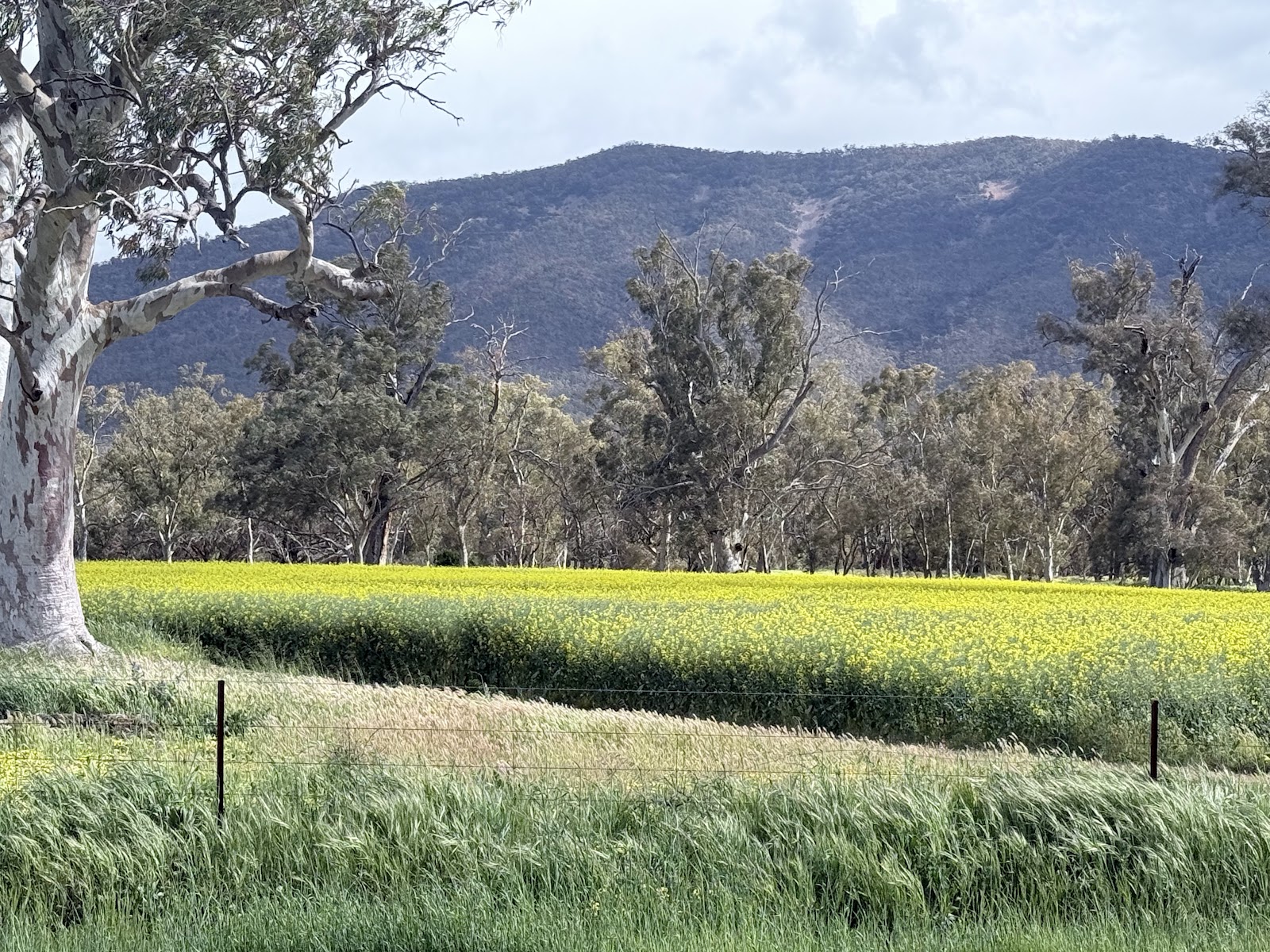 Goyder's Monument 3
