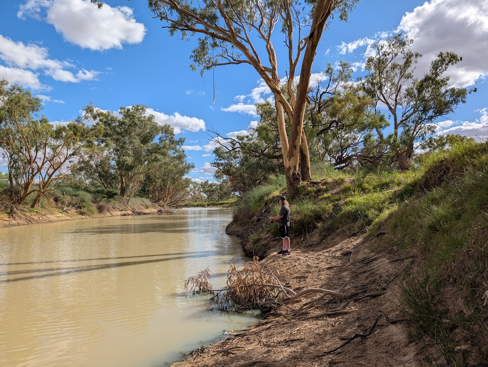 Innamincka Regional Reserve 2