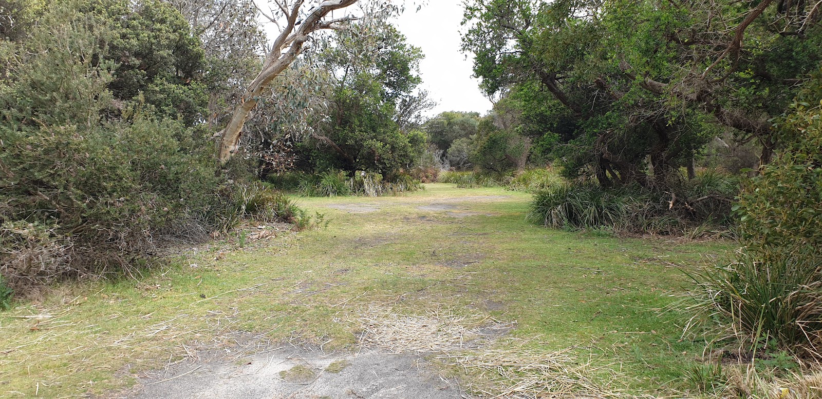 Big Waterhouse Lake Camping Area - Waterhouse Cons Area 7
