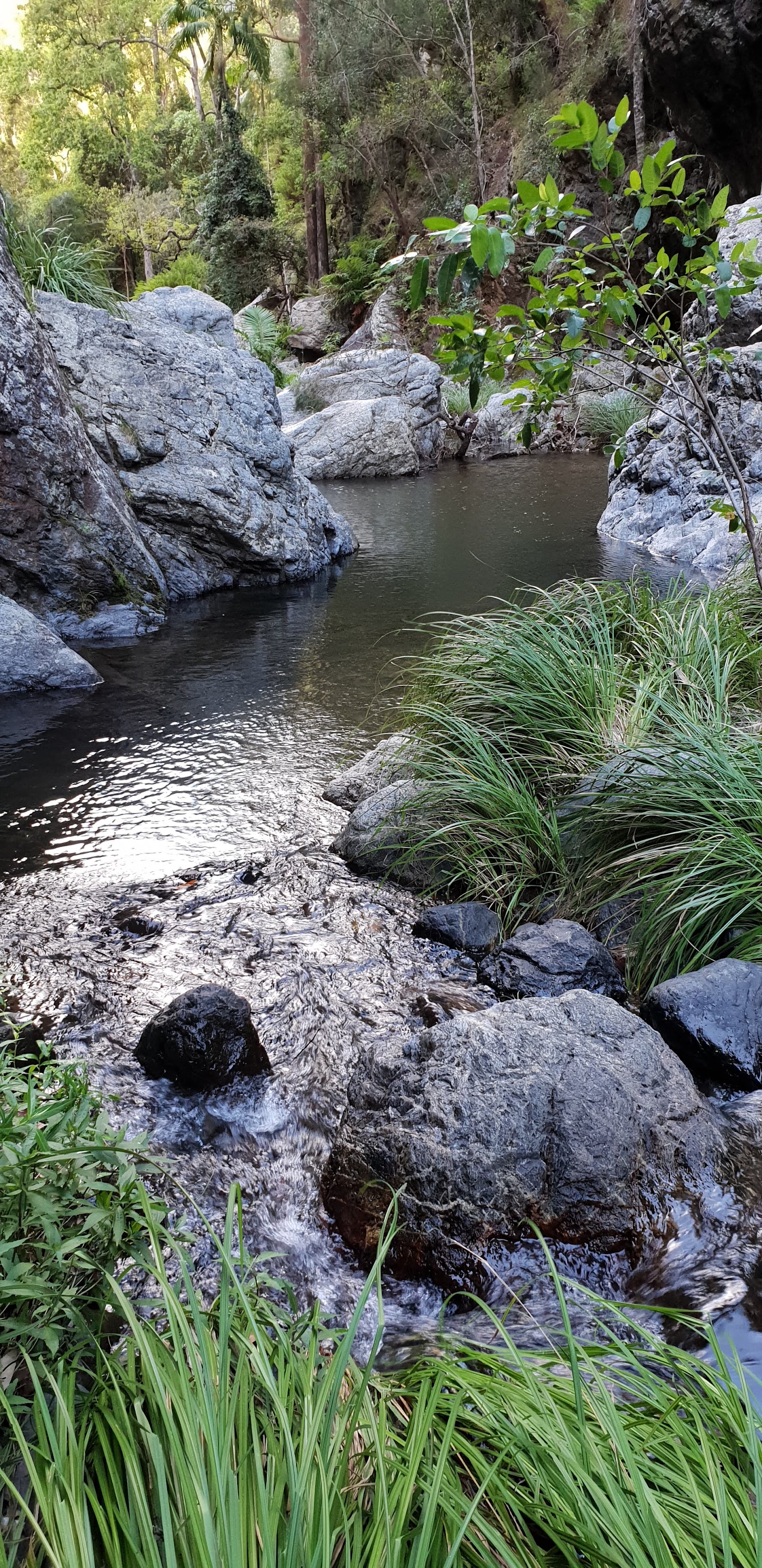 Northbrook Creek 3