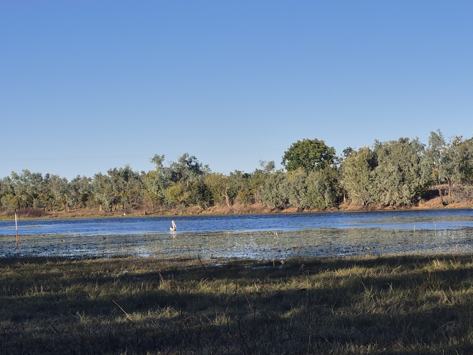 Leichhardt Lagoon Camping Park 3