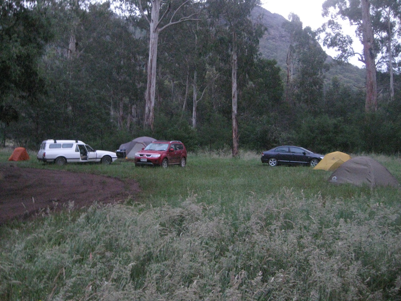 Bennies 5
