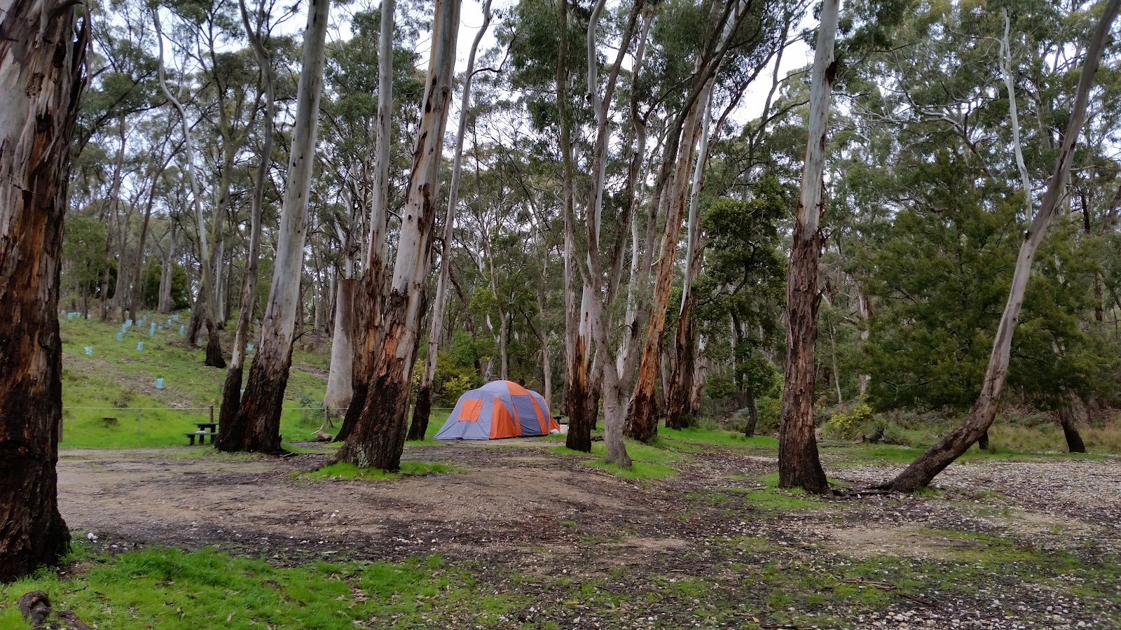 Slaty Creek Campground No2 2