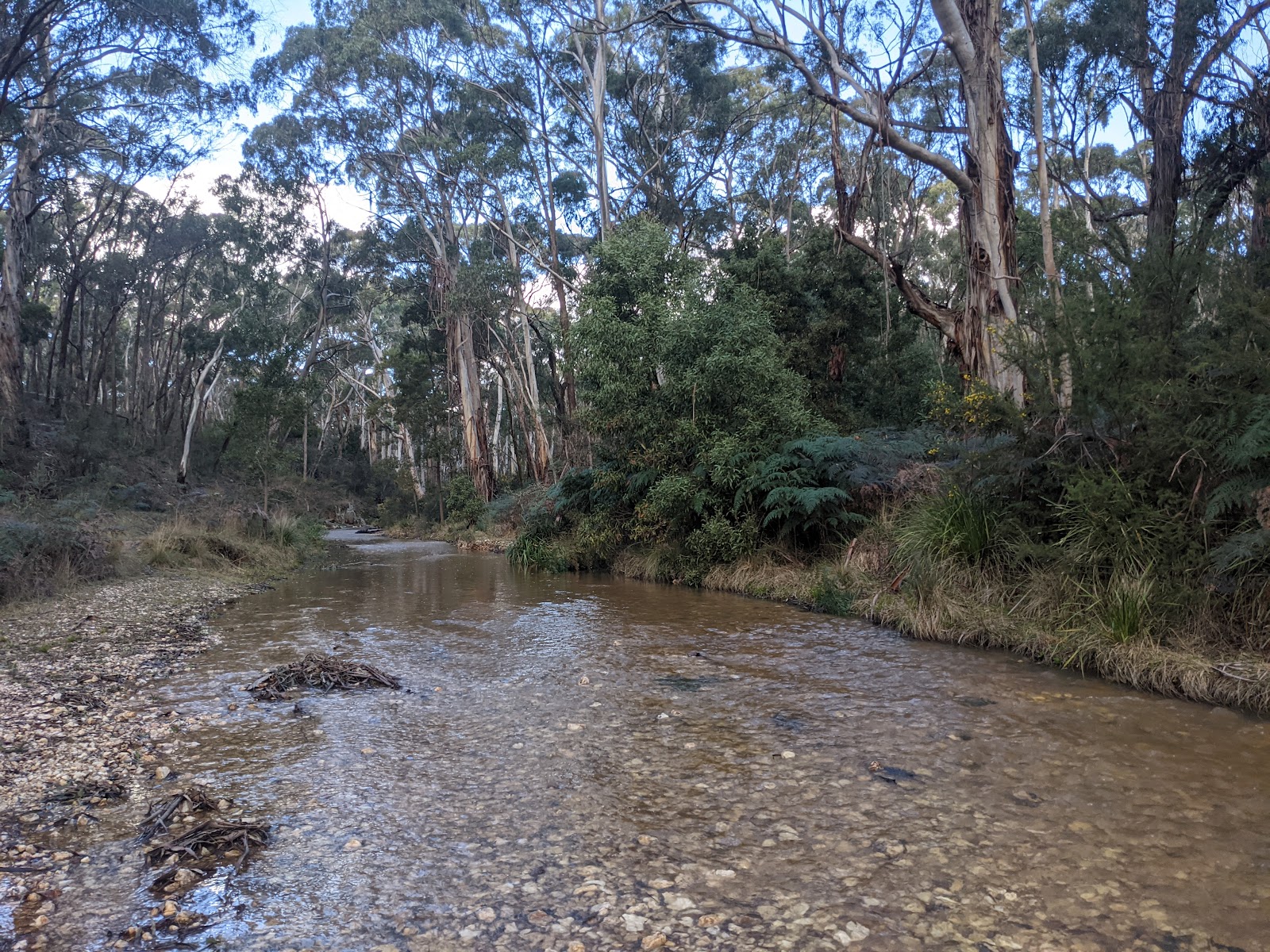 Slaty Creek Campground No2 3