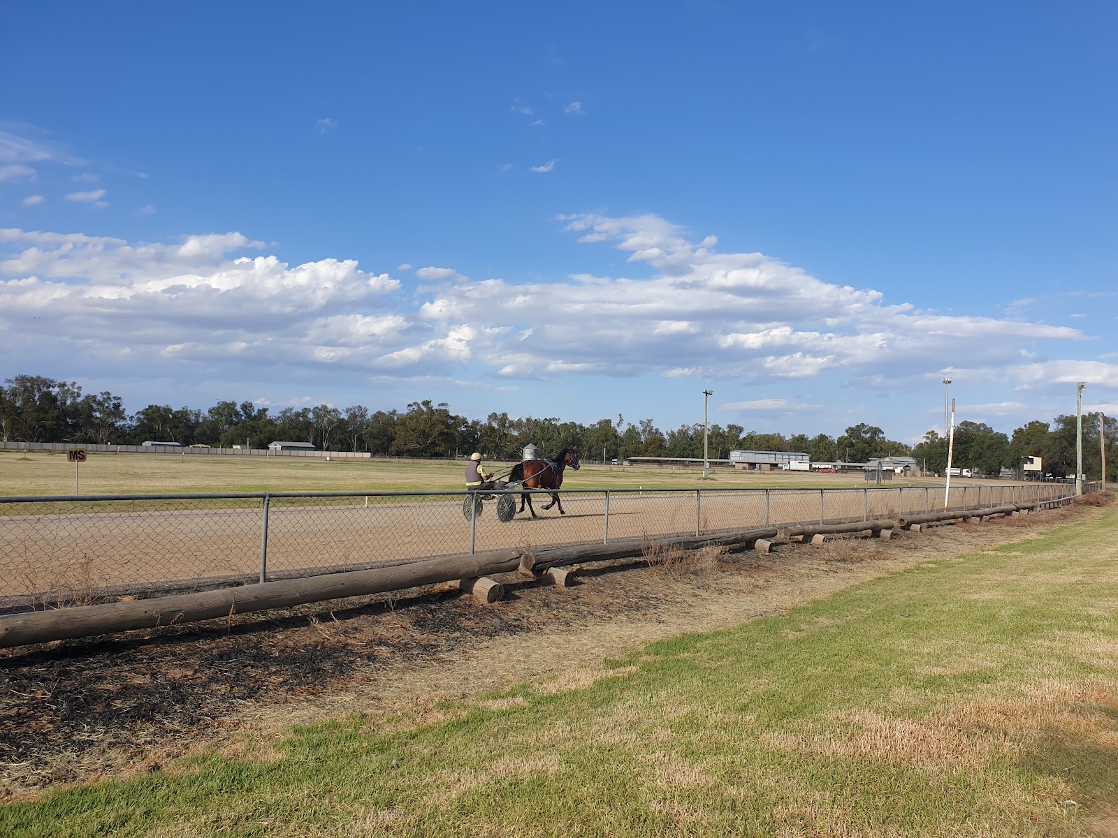 Showground and Trotting Track 3