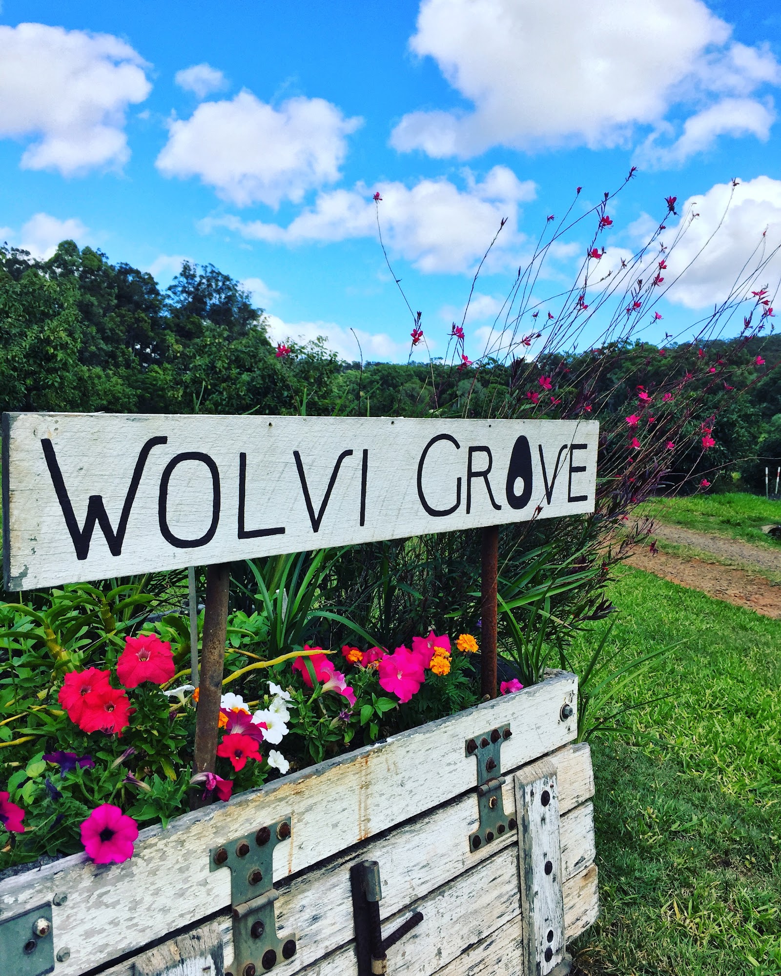 Wolvi Grove (Avocados & Camping) 3