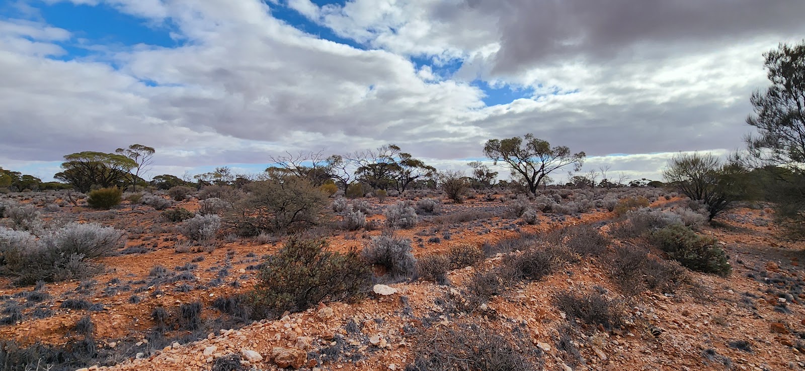 Rest Area Stuart Highway South Bound 2