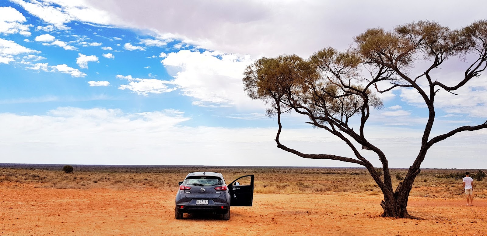 Rest Area Stuart Highway South Bound 8