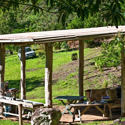 Forest Fields Campstay 2