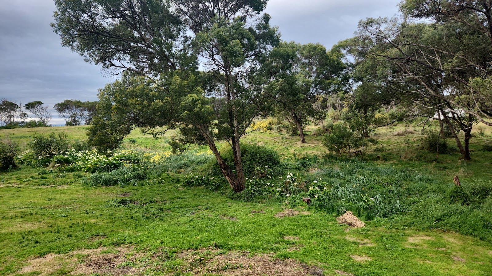 Camping spot glasshouse 3