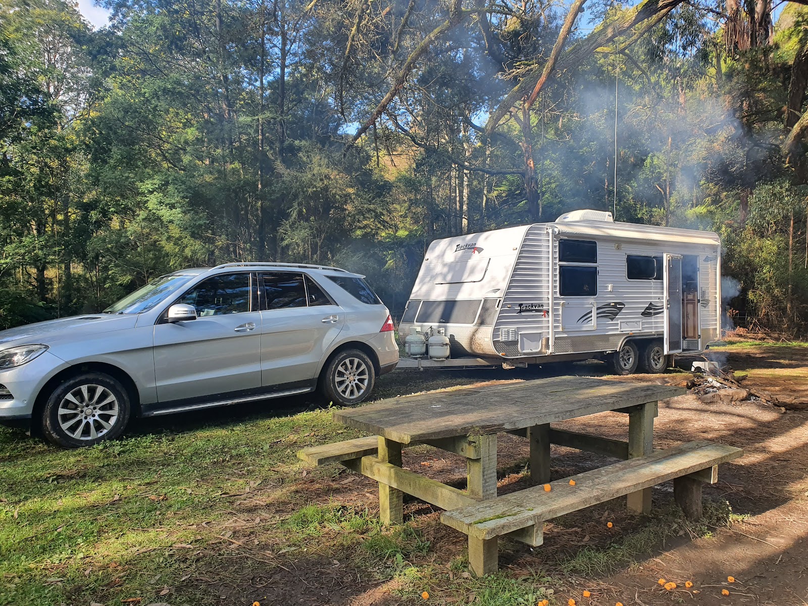 Dingo Creek 3