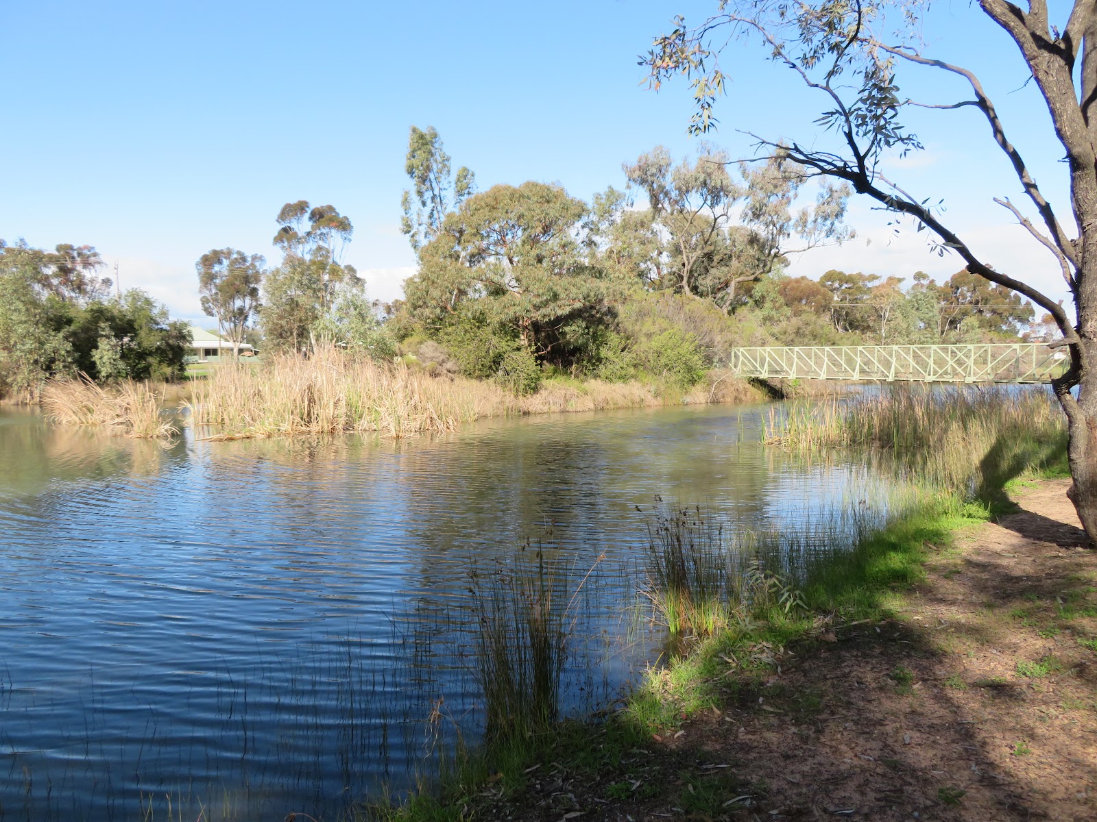 Rupanyup Memorial Park 3