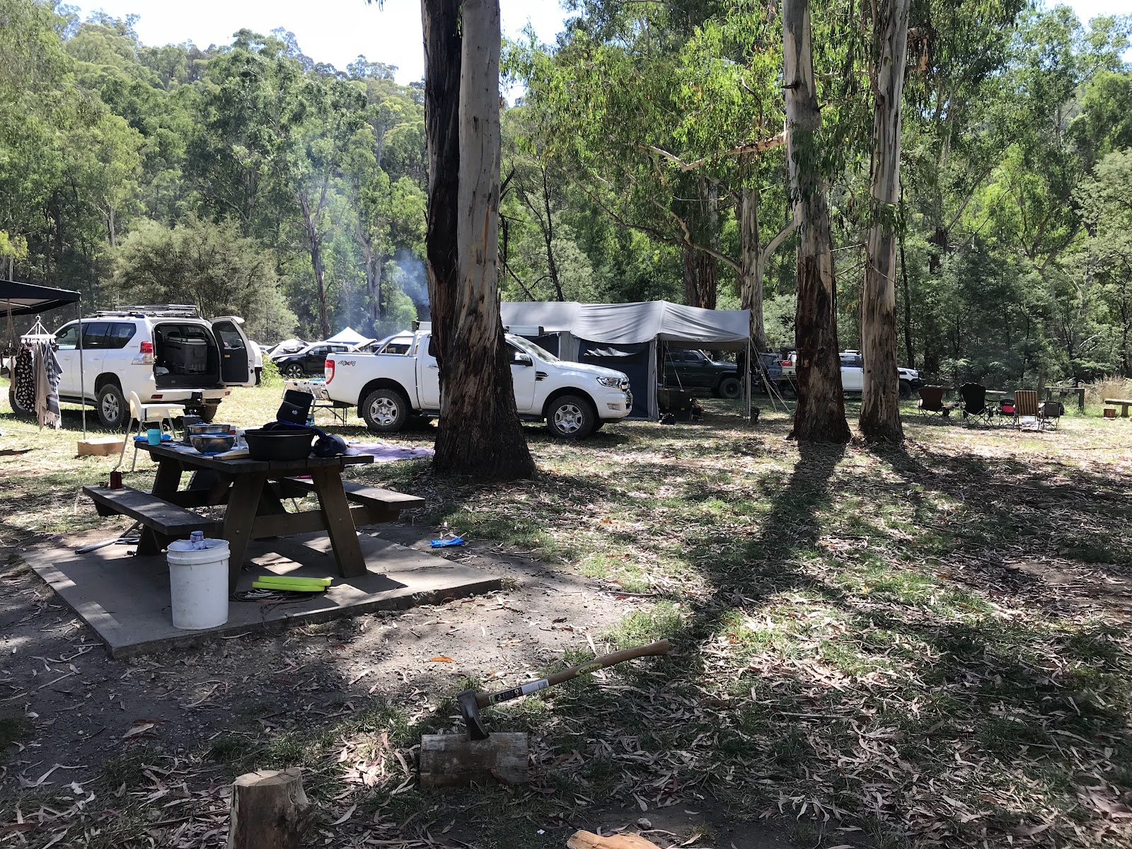 Snakes Reserve 2
