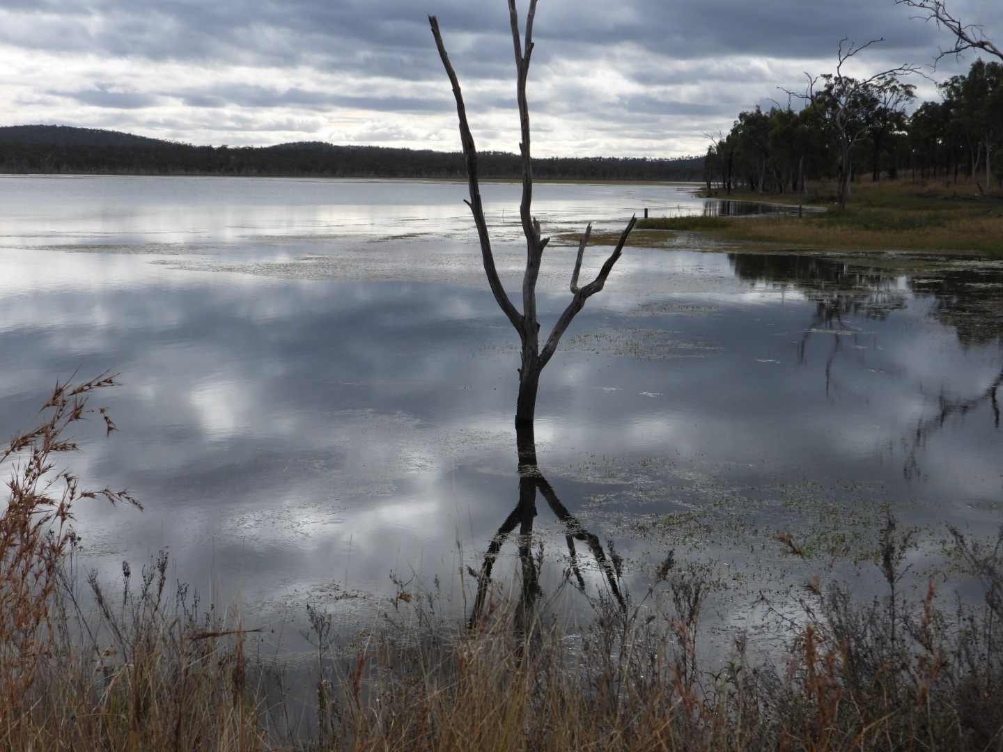 Blackbraes National Park 3