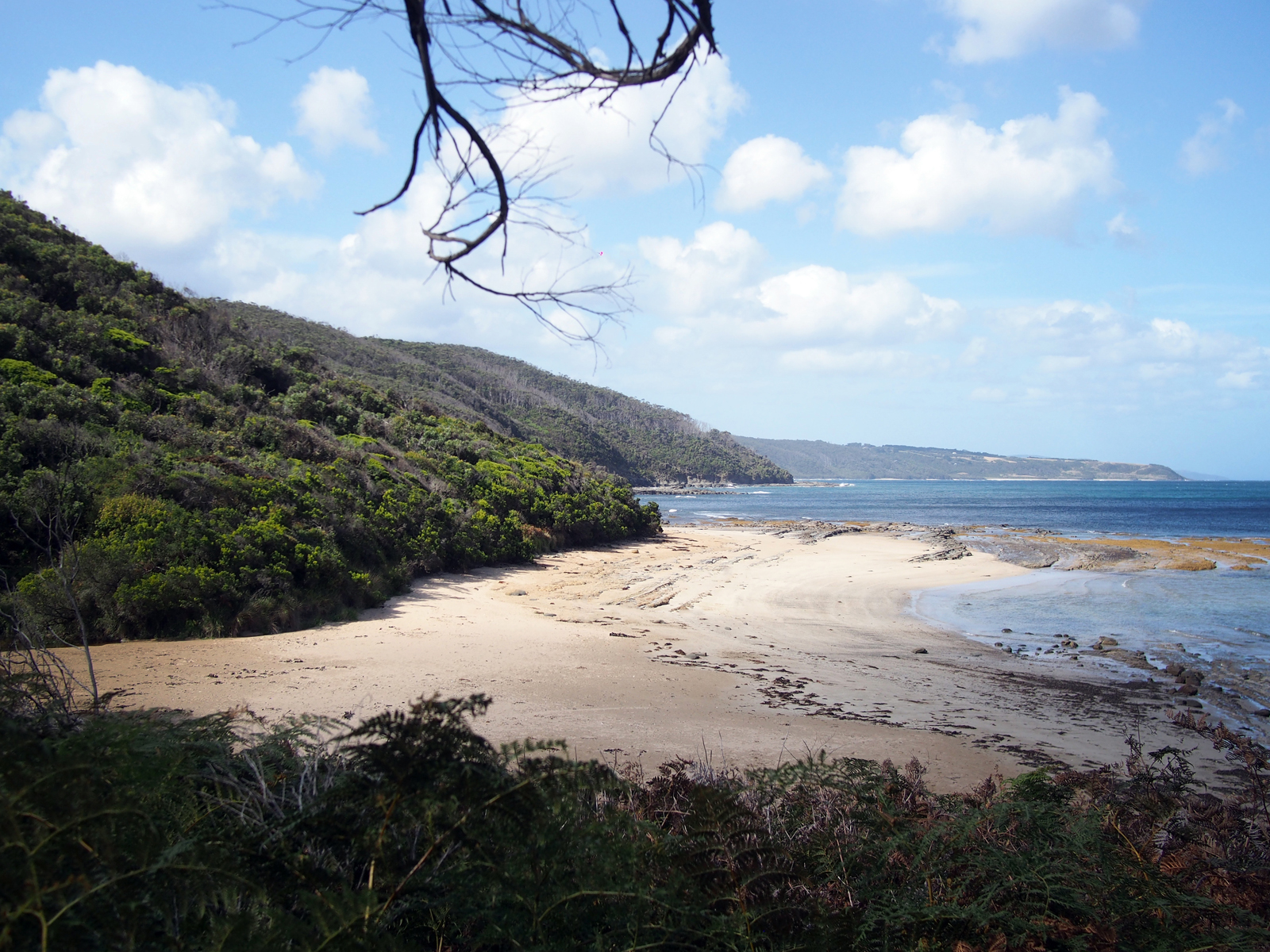 Blanket Bay Campground 3