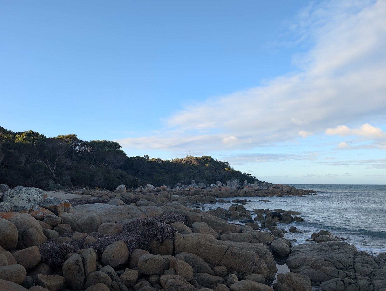 Ransons Beach Camping Area - Waterhouse Cons Area 5