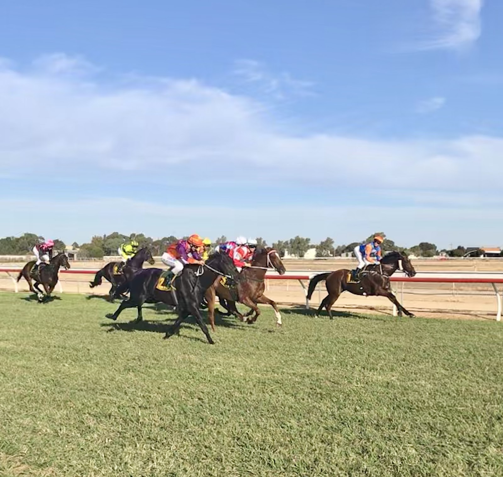 Kerang Turf Club 5