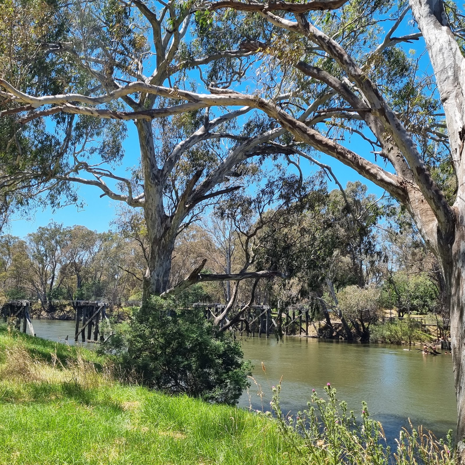 Seymour Reserve 9
