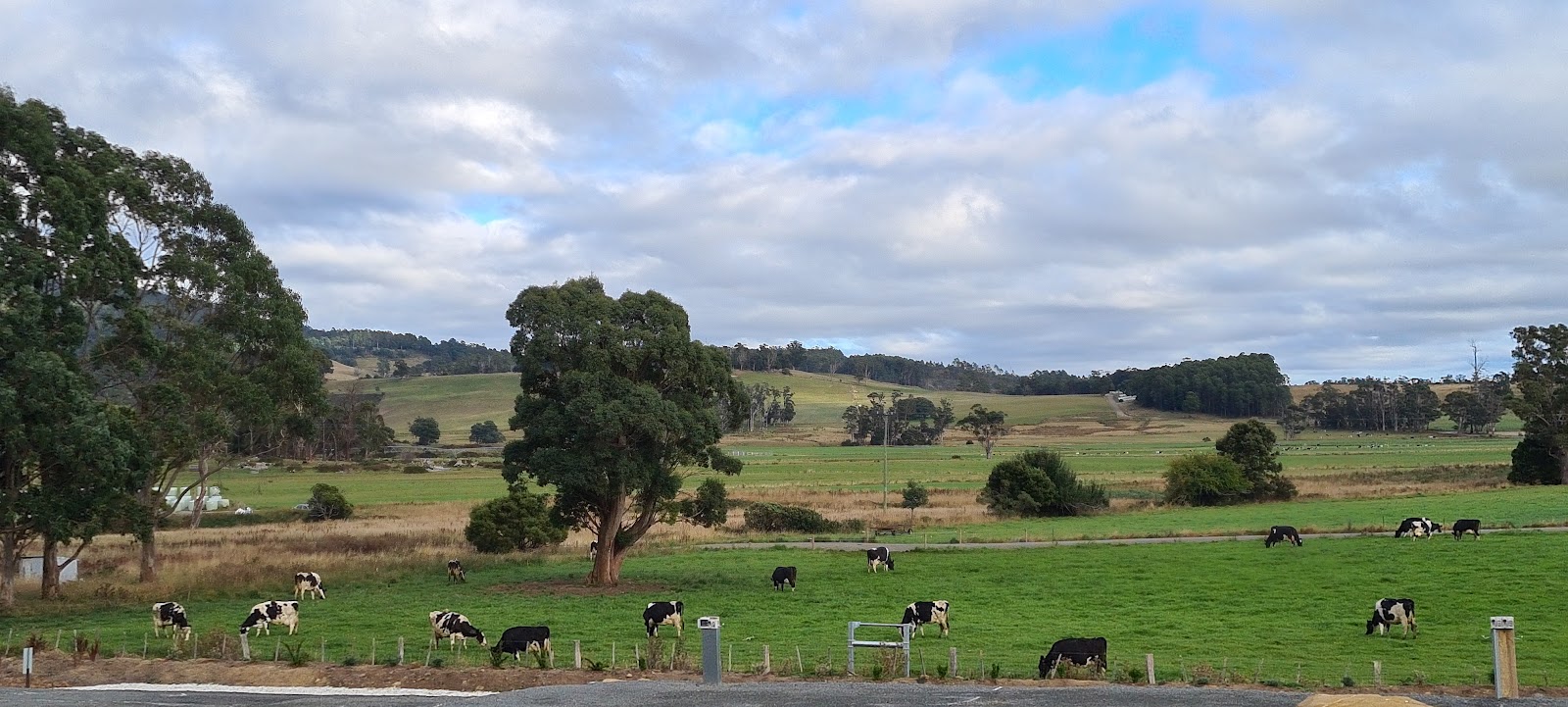 Meander Country Cabins 3