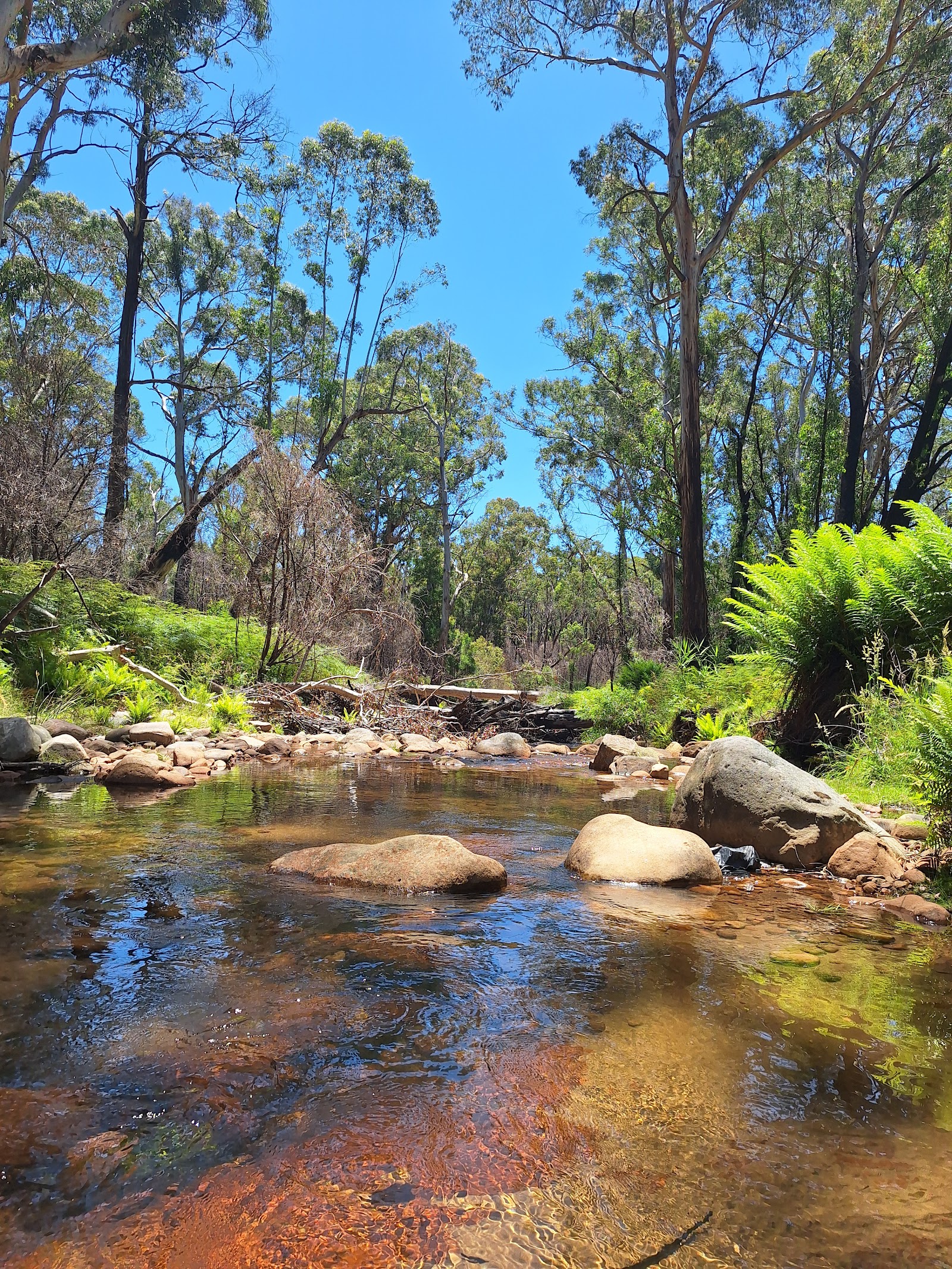 Borough Huts Campground 3