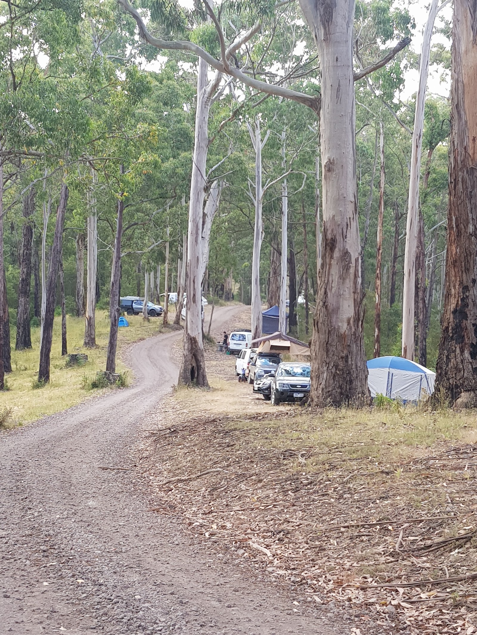 Sharps Camping Area 2