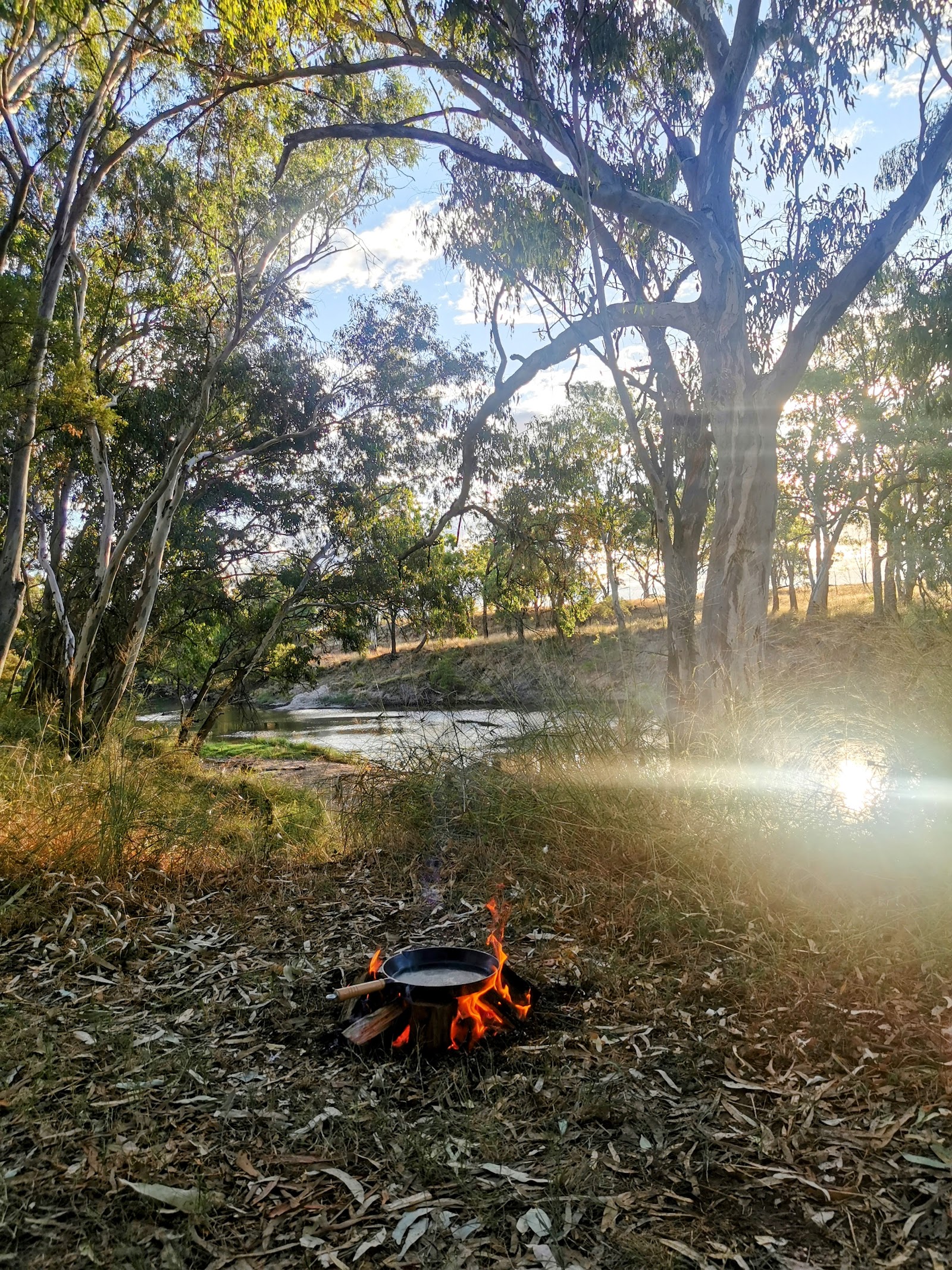 Bengalla Reserve 3