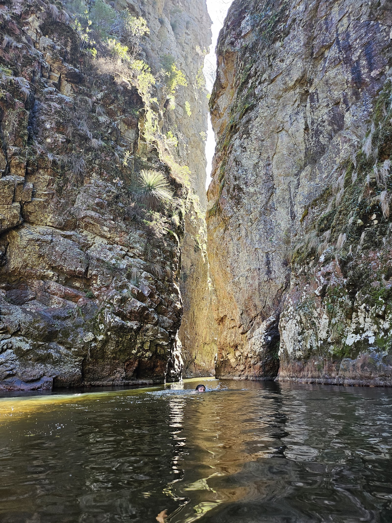 Nowendoc National Park 3