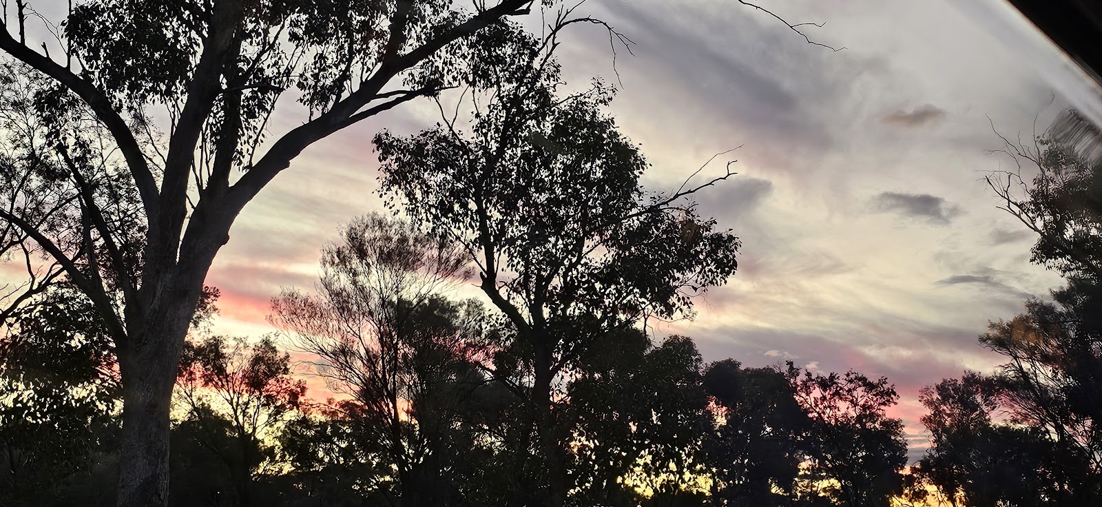 Curraweena Rest Area 3