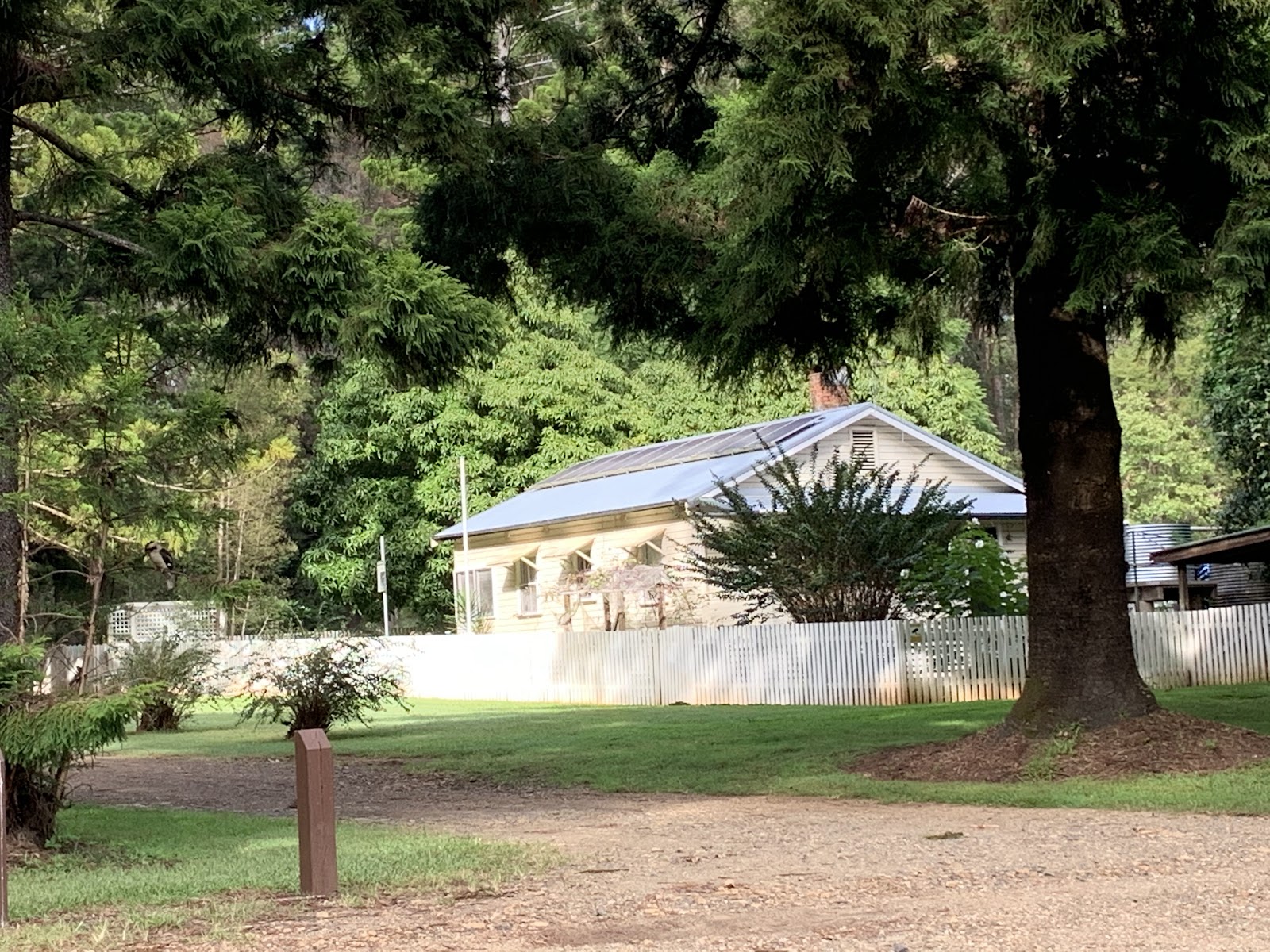 Coopernook Forest Camping Ground 2