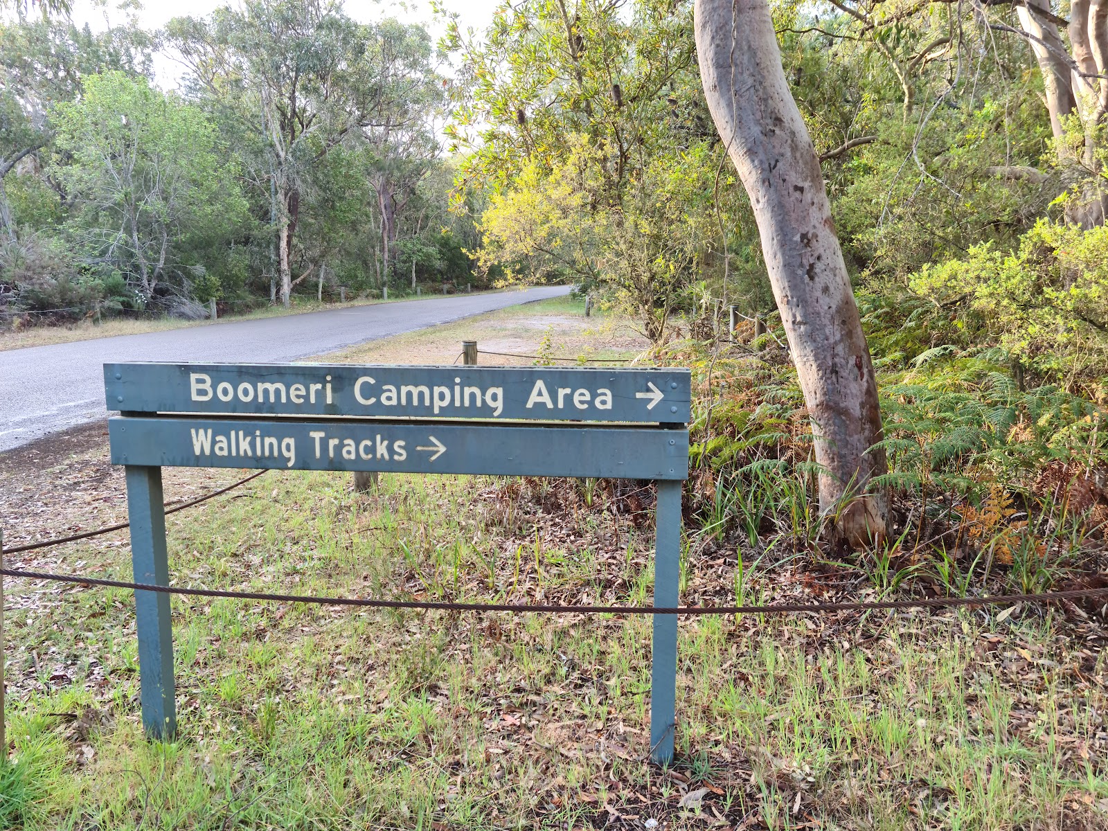 Boomeri campground 2
