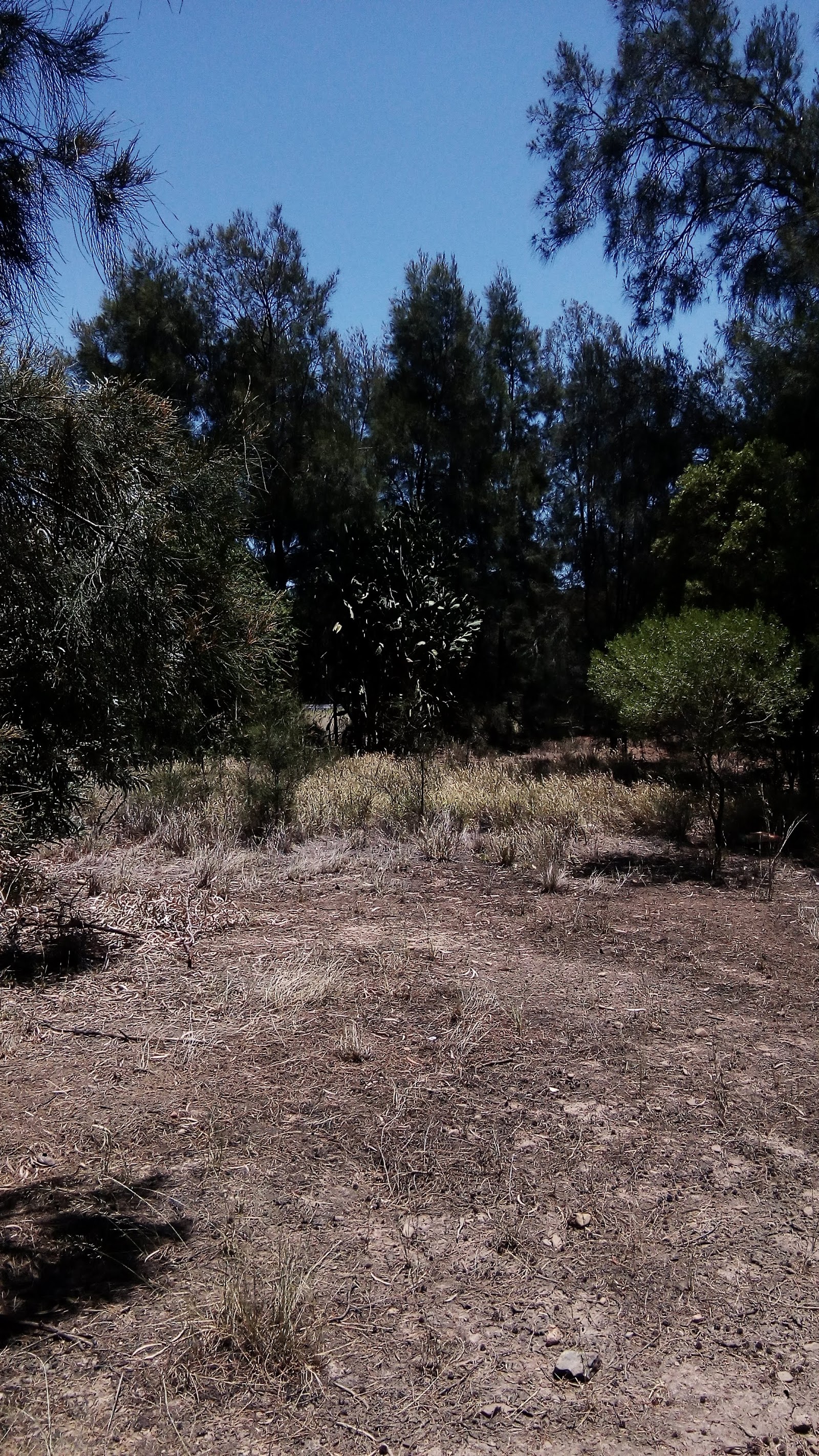 Munda Rest Area 3