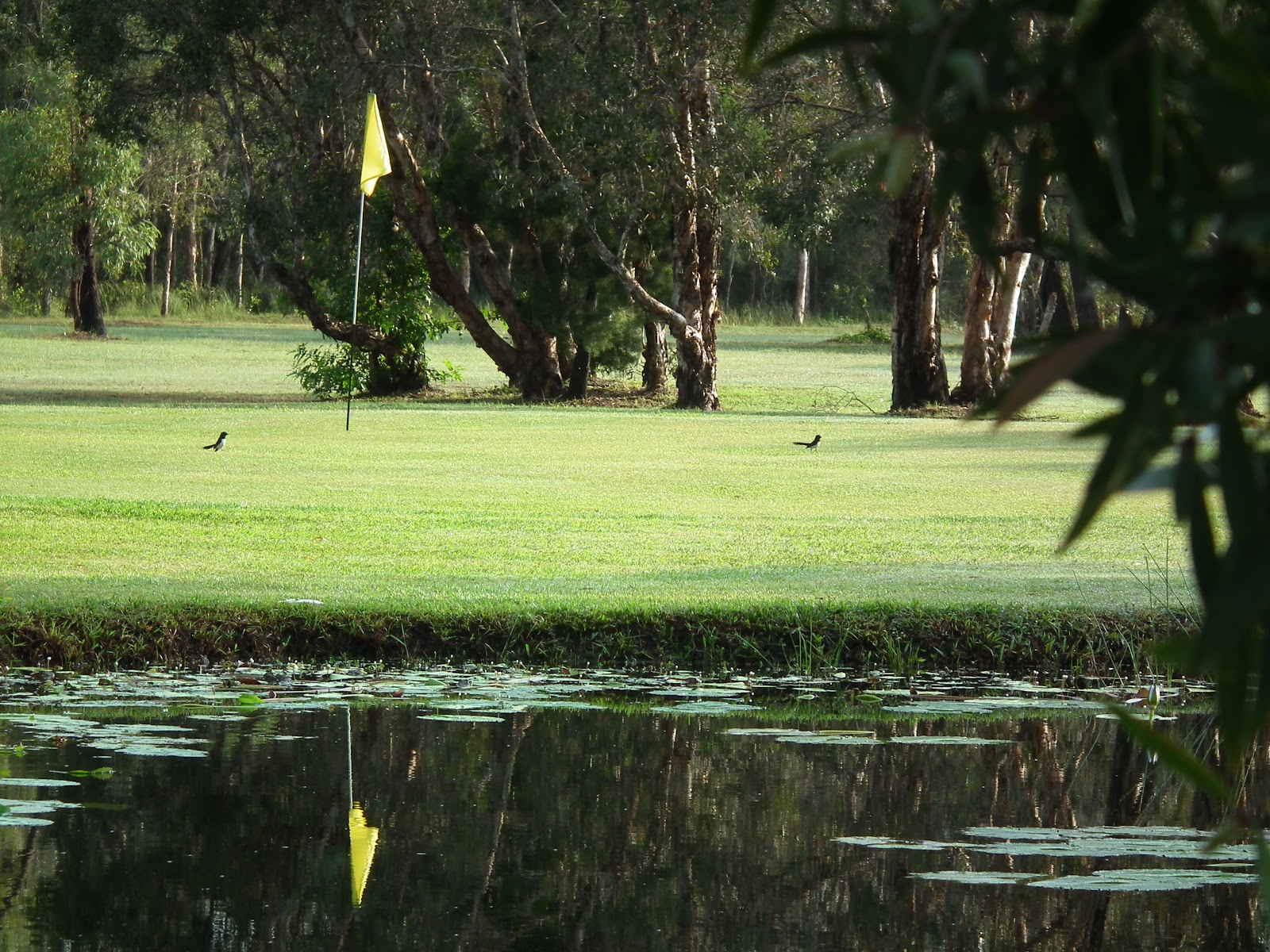 Boonooroo Golf Course and Tavern 2