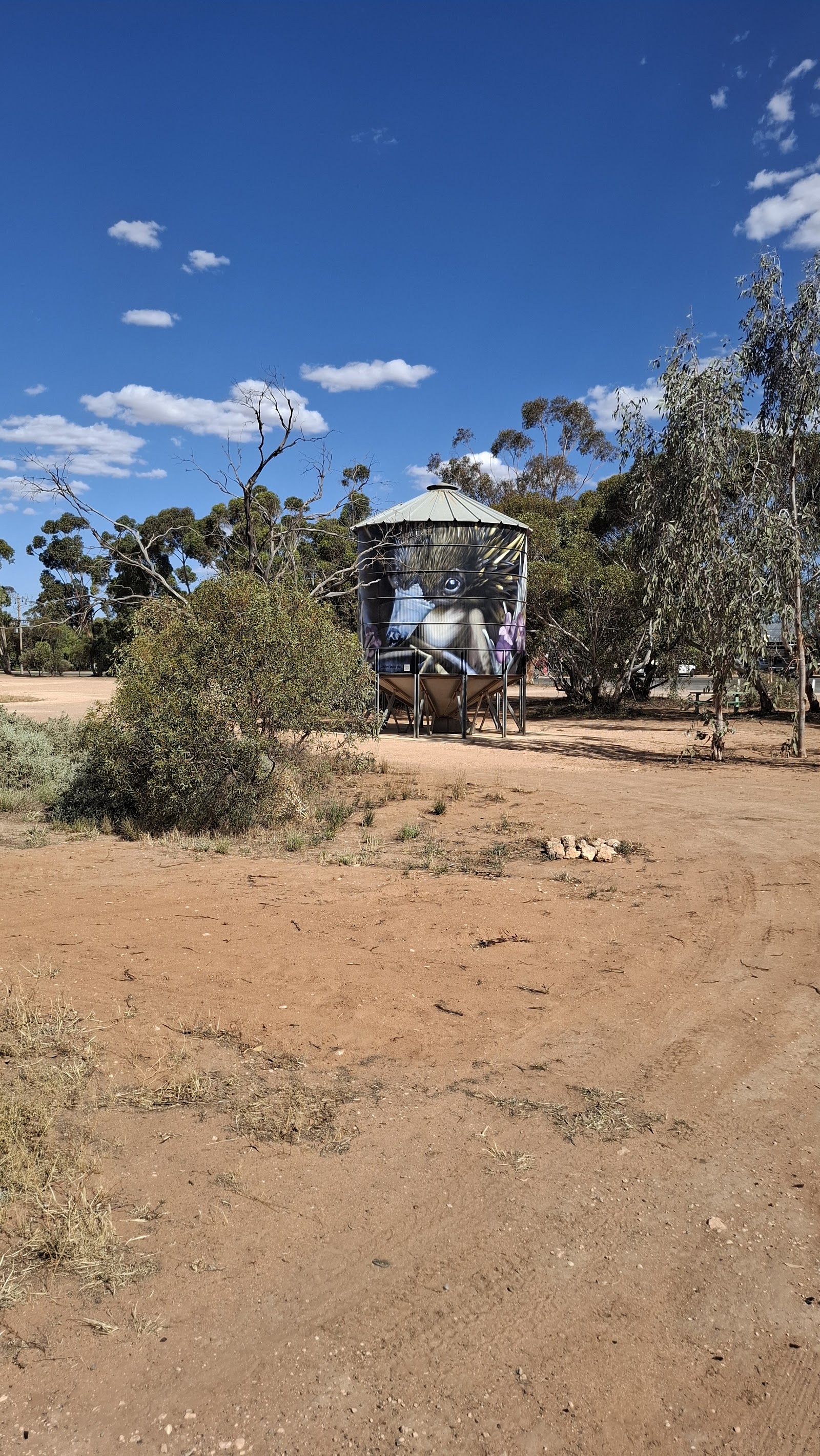 Werrimul camp and silo art 8