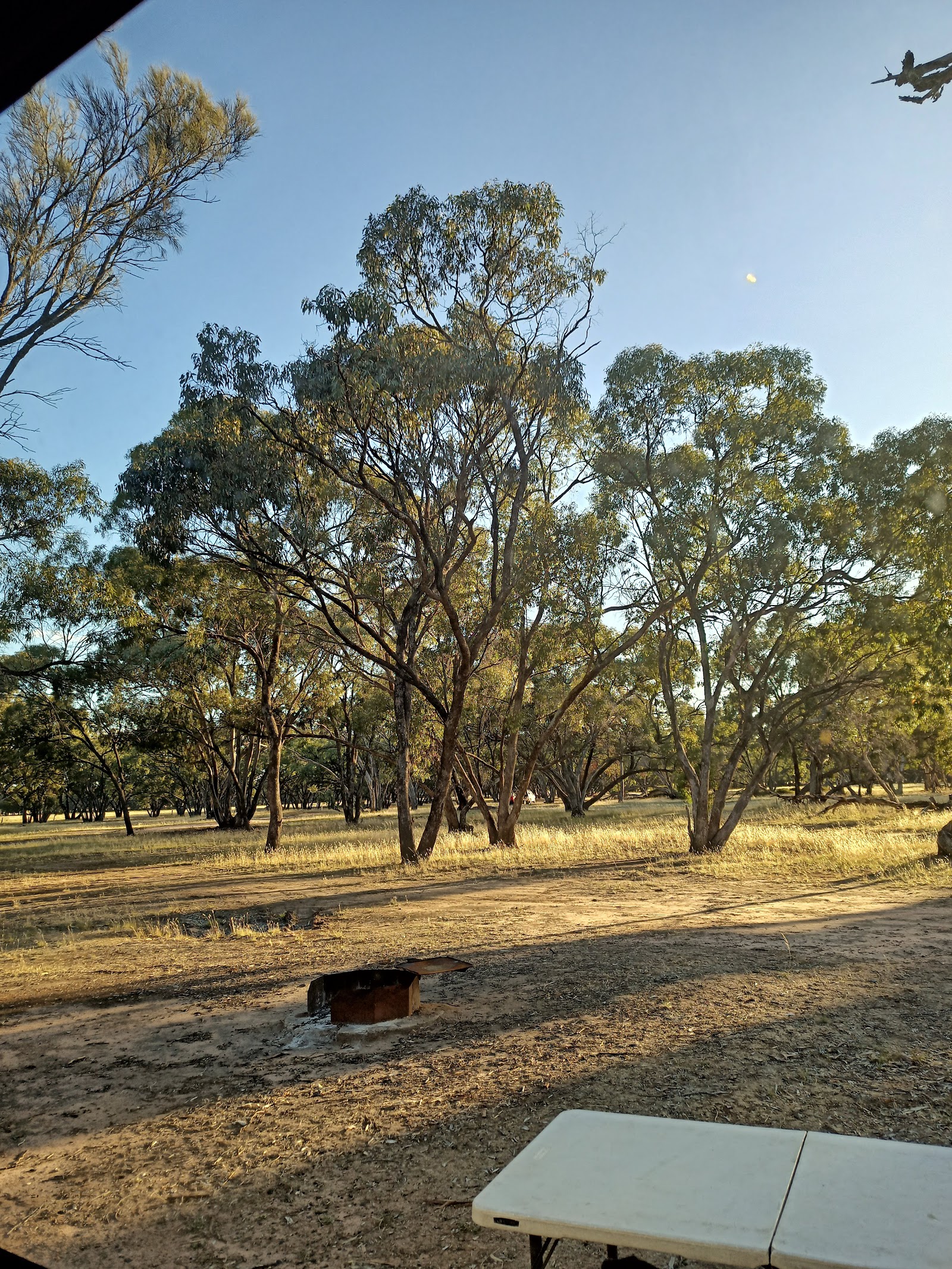 Kiata Campground 2