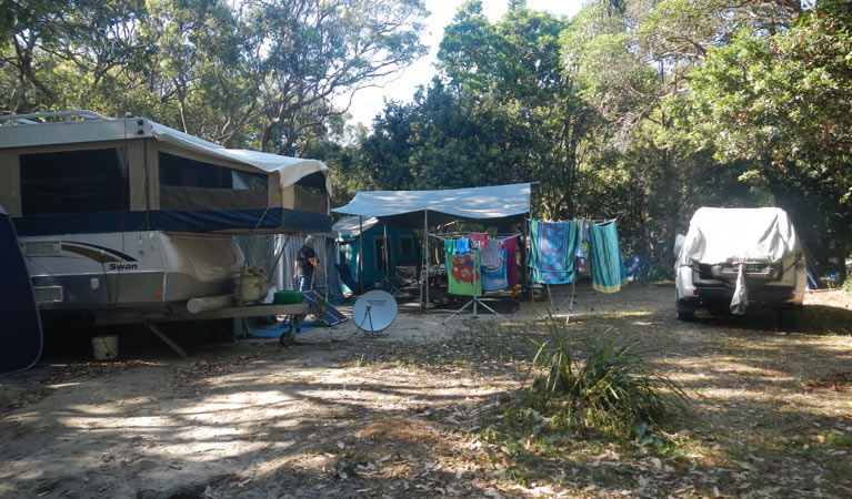 Smoky Cape Campground 5