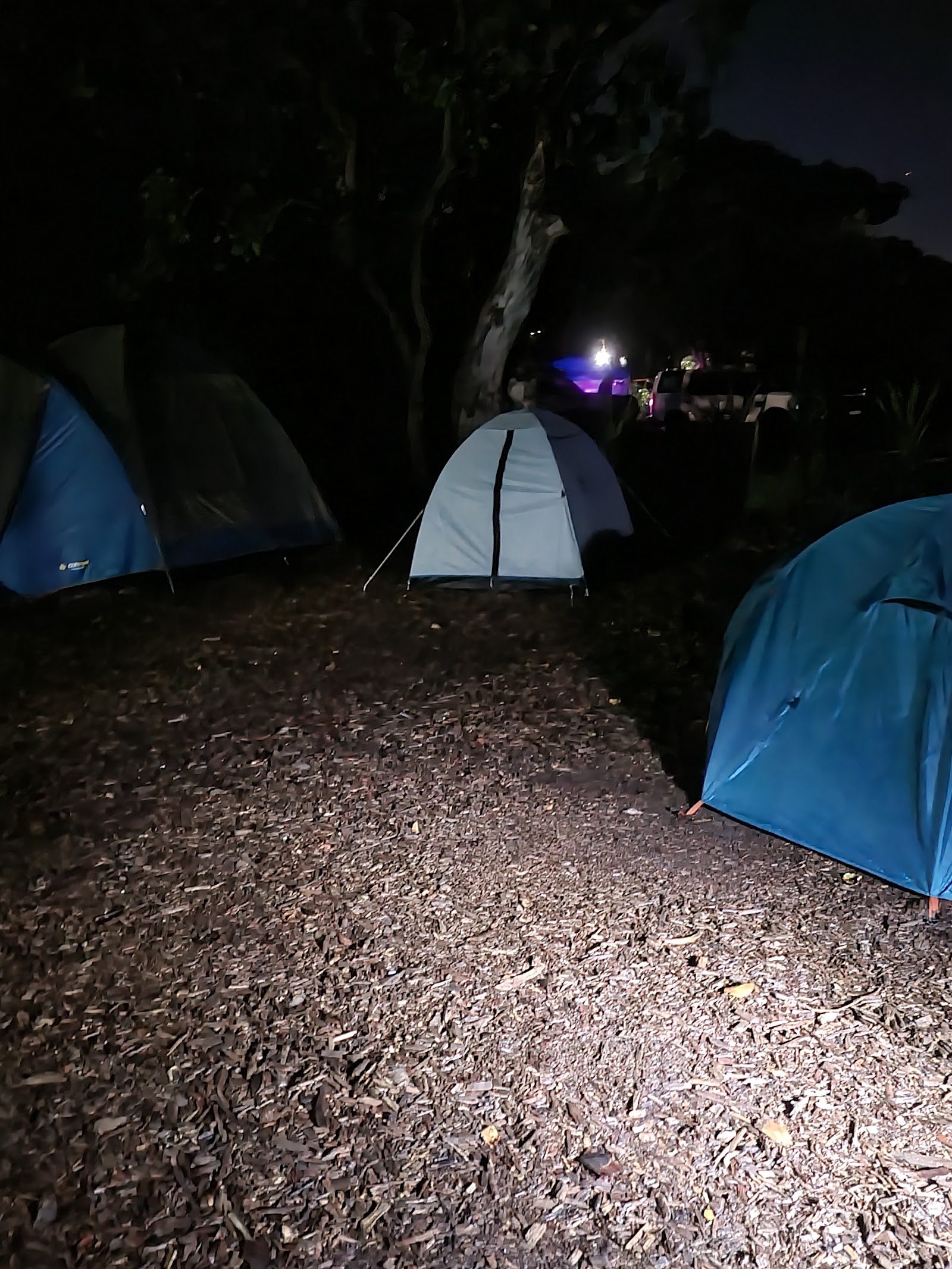 Smoky Cape Campground 12