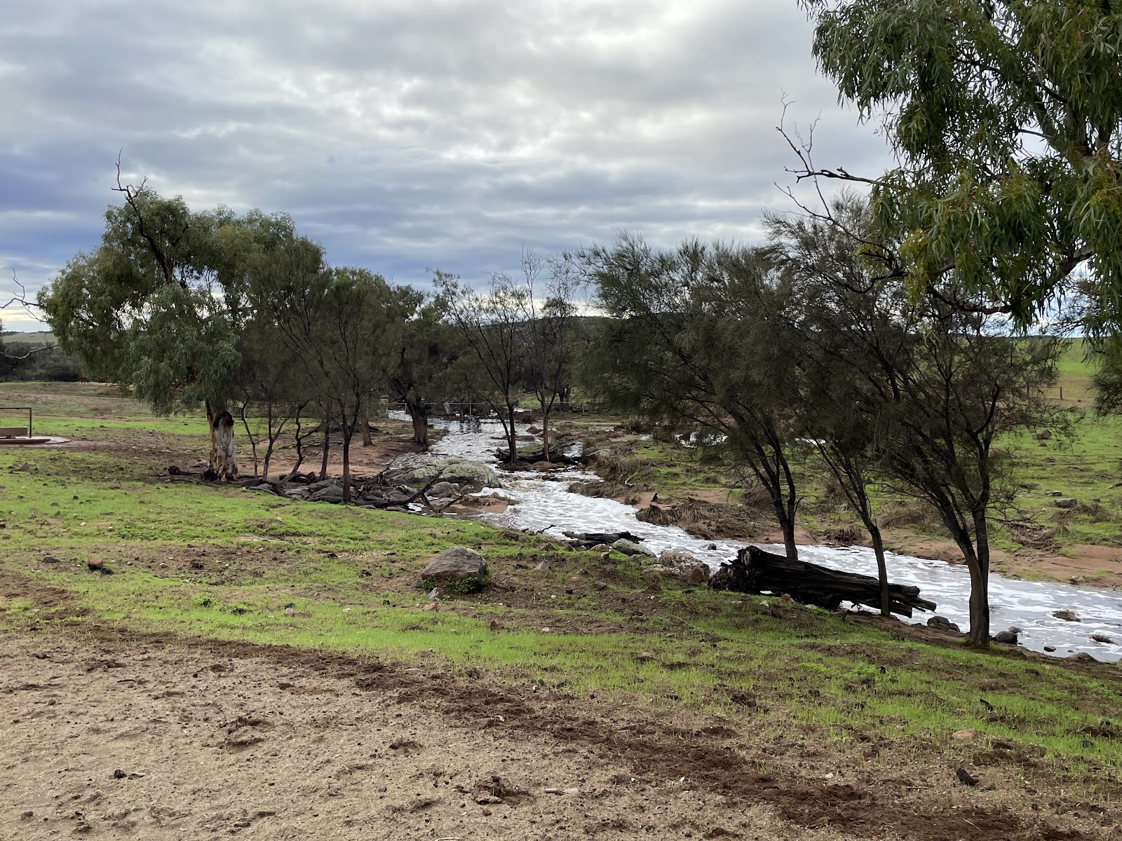 Northbrook Farmstay 3