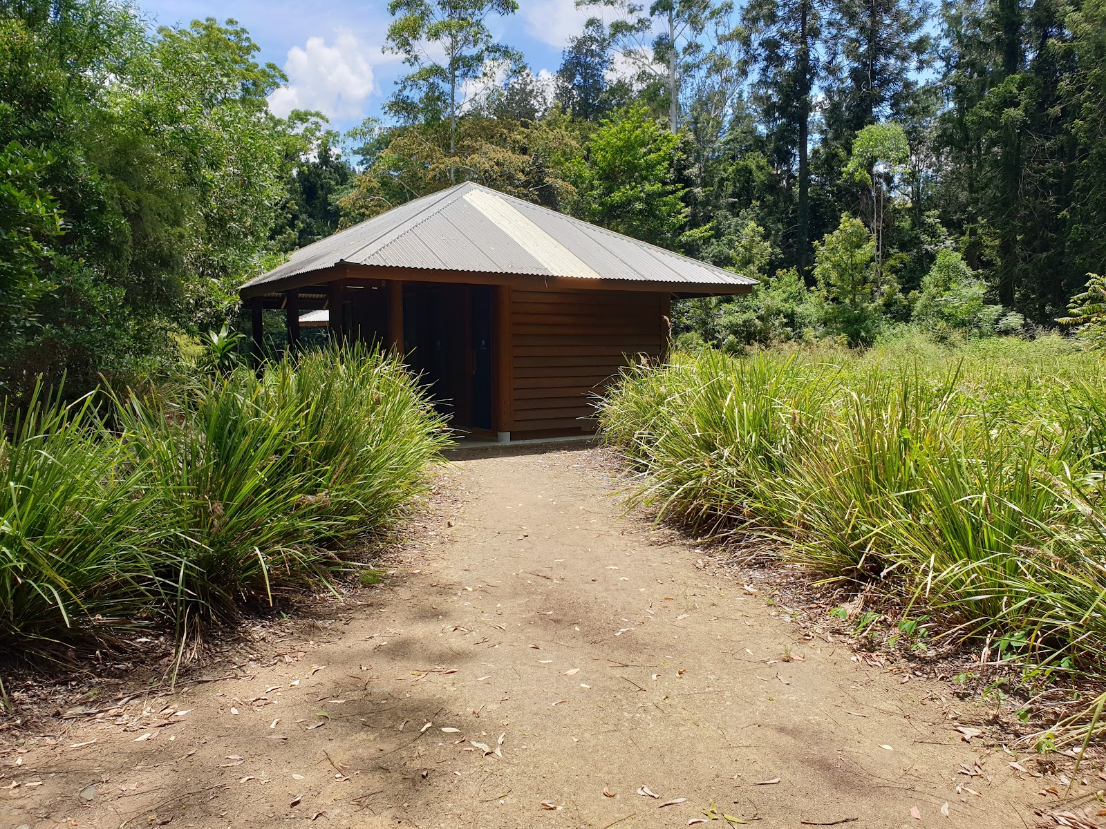 Cedar Grove camping area 2
